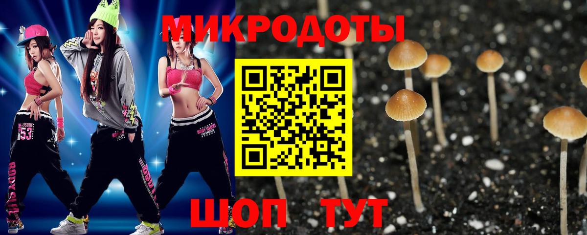 Галлюциногенные грибы мухоморы  закладки  Троицк  Вход с VPN 